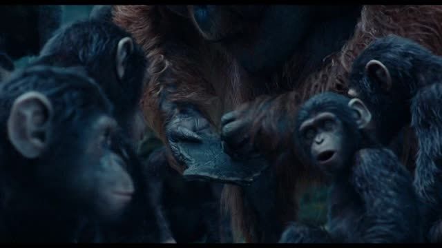 DAWN OF THE PLANET OF THE APES 2014