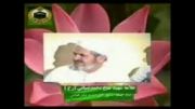 شیخ ضیائی : پیغمبران بعد از مرگ هم کعبه را طواف می کنند