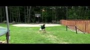 پرتاب توپ بسکتبال به روش حیرت انگیز در داخل سبد!!