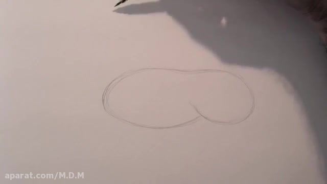 Learning to Draw: How to Draw a Horse