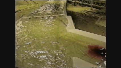 آزمایش پخش آلودگی ورودی به آب رودخانه