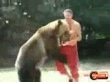 بازی خرس با آدم