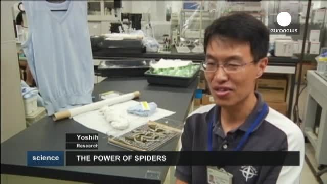 قدرت جادویی عنکبوت در تولید ابریشم و تازه هایی از دنیای