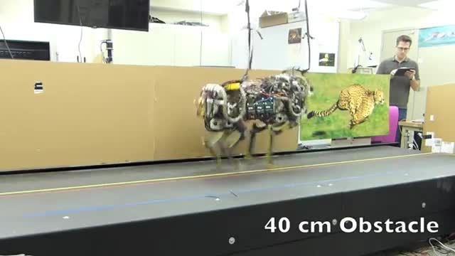 روبات Cheetah دانشمندان MIT