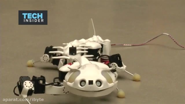 ساخت رباتی همانند سمندر