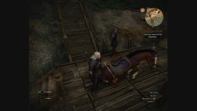 نرمش کردن اسب وفادار Geralt در بازی The Witcher 3 (باگ)
