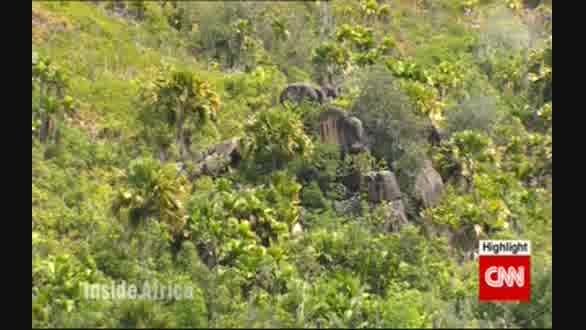 لاک پشت های غول پیکر در جزایر سیشل