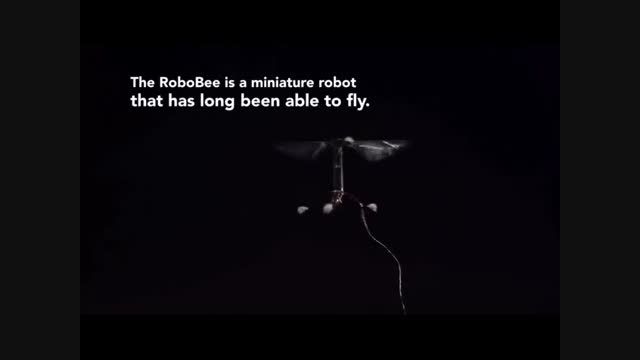 ساخت روبات حشره با قابلیت پرواز و شنا - امروز آنلاین