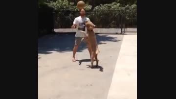 بسکتبال بازی کردن جنسن با سگش