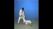 Obi Otoshi - 65 Throws of Kodokan Judo