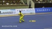 Zhou Bin - Taiji Quan 2012 China Mens Wushu Nationals