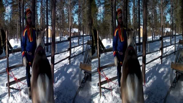 دانلود مستند سه بعدی Lapland Snow Adventure 2012 3D