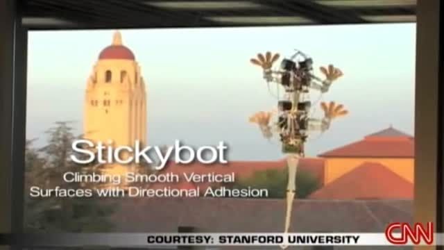 رباتی با شبیه سازی از پای مارمولک