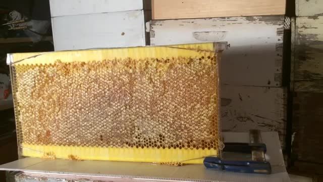 ساخت کندوی عسل جدید با پرینتر سه بعدی