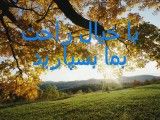 تبلیغات سایت www.8gerdagahi.com