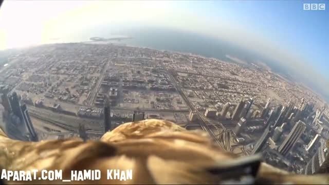 دوربین عقاب بر فراز دوبی