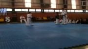 hapkido