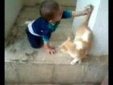 دعوای بچه (امیر علی) و گربه
