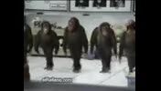 کلیپ خنده دار رقص میمون ها حتما ببینید