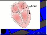 22  Cardiac Electrophysiology (Section 4_ Part 1)