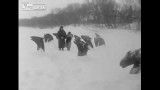 فیلم واقعى یخ زدن اسبها در هنگام فرار