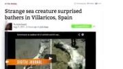 پیدا شدن یه موجود عجیب تو اسپانیا که رسانه ایی شده