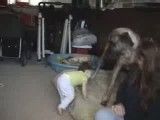 بازی سگ بزرگ با بچه