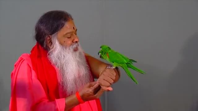 طوطیهای استاد Sri Swamiji