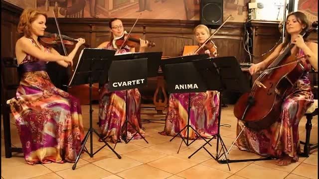 Cvartet Anima - Comment ca va - The Shorts