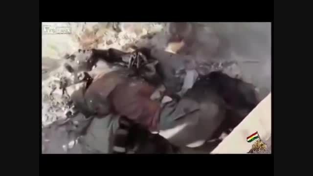 زمار - اجساد تکفیری های داعش زیر پای نیروهای پیشمرگه