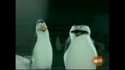 پنگوئن های ماداگاسکار-قسمت چهارم