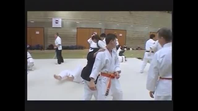 aikido v jujitsu training