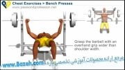 حرکات بدن سازی سینه - Bench Press - Chest Exercis