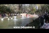 باغ گلشن طبس iran- tabas Golshan Garden