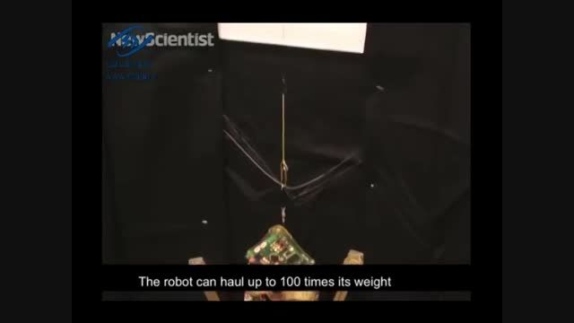 روبات  های کوچک با توانایی کشیدن اشیایی 2000 برابر سنگی