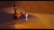 گوگل به همراه شترها به صحرا می رود