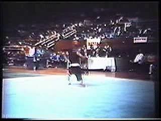 ووشو؛ اجرای مبارزه سنتی سه نفره، دهه 80 میلادی