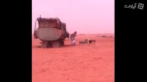 حمله سگ به عرب نگون بخت