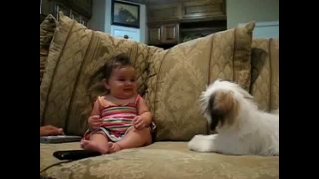 این سگ بچه را میخنداند