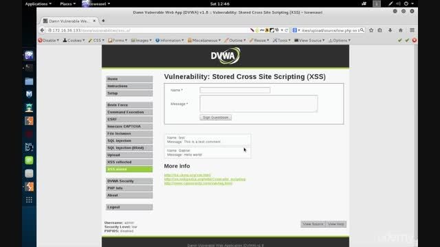Stored/Persistent XSS