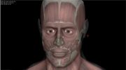 نمایش بدن انسان 3D