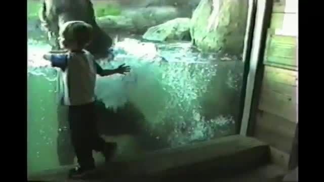 کودکان در باغ وحش