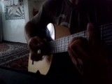 گیتار-حلالم کن (علی عبدالمالکی)