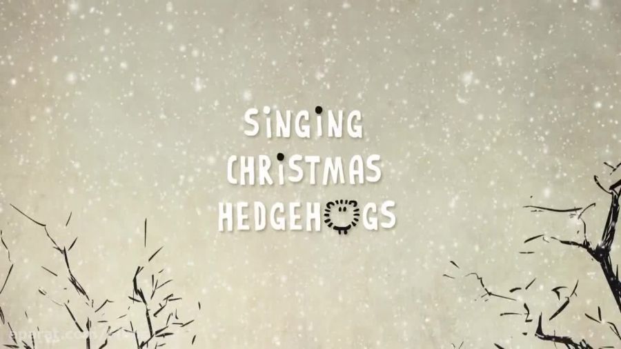 Singing Christmas Hedgehogs from Birdbox Studio