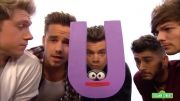 Sesame Street - One Direction - What Makes U Useful
