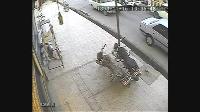 سارق آماتور در حال سرقت در طلافروشی بهبهان/ فیلم