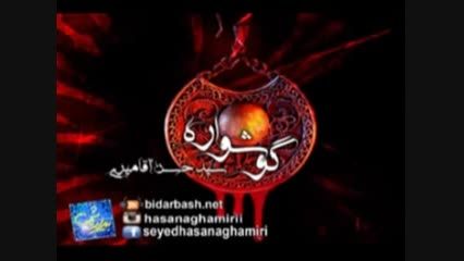 آقامیری-گوشواره - حجت الاسلام سید حسن آقامیری