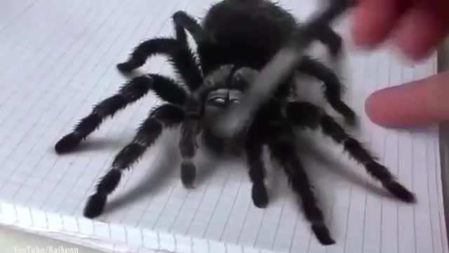 دختره از نقاشی عنکبوت میترسه(خیلی خیلی جالب)