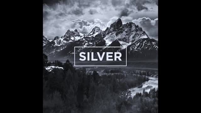The neighbourhood - Silver