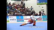 ووشو -مسابقه داخلی چین۲۰۱۴،مرحله مقدماتی،مقام اول تایچی